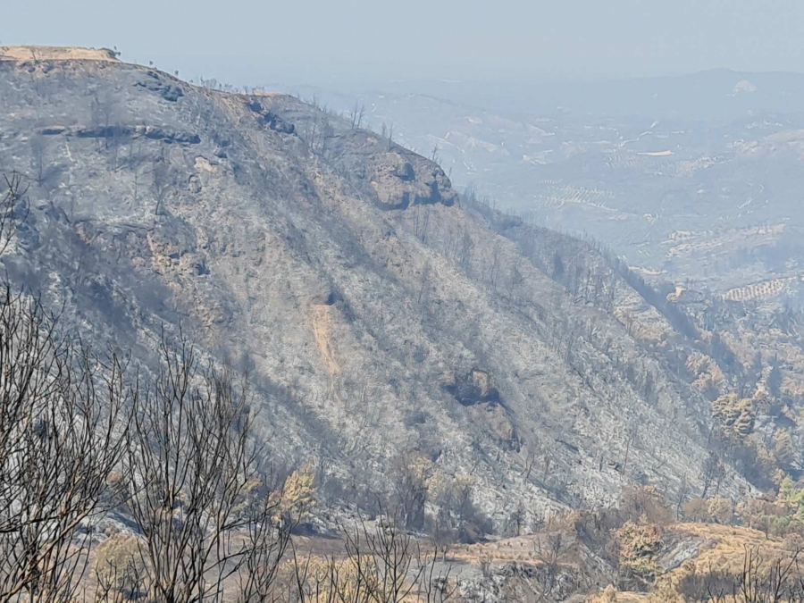 Λέκκας (καθηγητής): Η πρώτη αποτίμηση των καταστροφών από τις πυρκαγιές  – Οδοιπορικό στα καμένα σε Αττική, Βόρειο Εύβοια και Πελοπόννησο