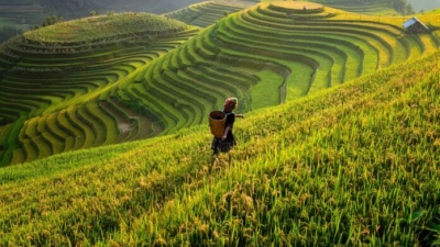 Σε ποιες χώρες οι τουριστικές επιχειρήσεις προωθούν περισσότερο τα βιώσιμα ταξίδια