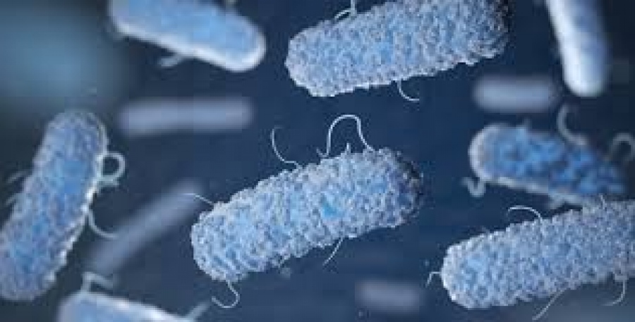 Τα «βακτήρια - βαμπίρ» απειλούν τις ΗΠΑ και... την Ελλάδα - Εκρηκτική αύξηση, που οφείλεται