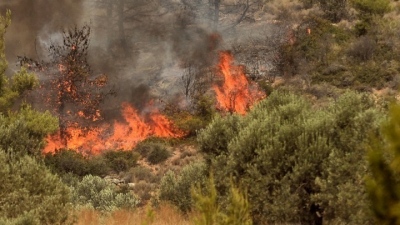 Πύρινη κόλαση στην Εύβοια – Ανεξέλεγκτη καίει η μεγάλη πυρκαγιά στην Κάρυστο - Έχει προκαλέσει ζημιές, απειλεί σπίτια