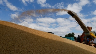Λίβανος: Το φορτίο σιτηρών πλοίου που έδεσε στην Τρίπολη δεν έχει κλαπεί από την Ουκρανία, δήλωσε στέλεχος της εισαγωγικής εταιρείας