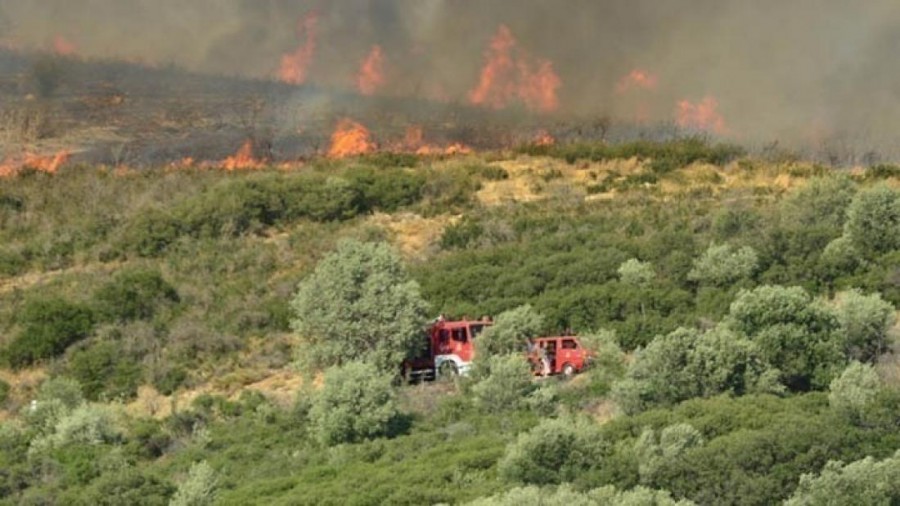 Πυρκαγιά σε δασική έκταση στην Ανατολική Μάνη