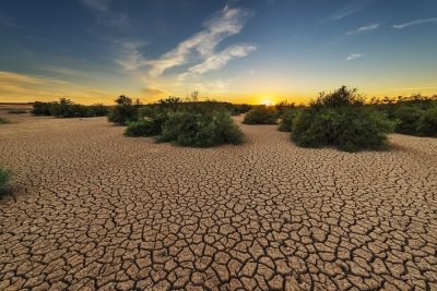 Σε συνθήκες ακραίας ξηρασίας η μισή ΕΕ - Φόβοι για μεγάλες ελλείψεις τροφίμων
