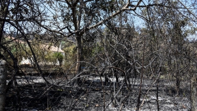 Βαρυμπόμπη - Η εξάπλωση της φωτιάς σε βίντεο 30''