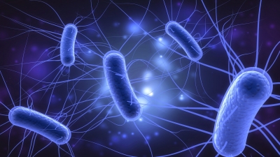 Τι συμβαίνει στον κόσμο; Μετά τον κορωνοϊό, την ηπατίτιδα και η... Escherichia coli - Ανακλήθηκαν πάνω από 60 τόνοι κιμά