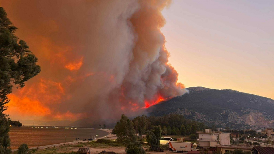 Καίγεται η χώρα: Δραματικές ώρες στη Ζάκυνθο, μαζική φυγή κατοίκων - Πύρινος εφιάλτης σε Αχαΐα, Χίο, Βόνιτσα, Πρέβεζα