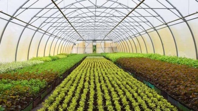 Διευρύνεται ο «Κόμβος Θερμοκηπίων» για την ανάπτυξη των καλλιεργειών