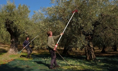 ΟΠΕΚΕΠΕ: Πληρώθηκαν 82.870 αγρότες για ενισχύσεις συνολικά 46 εκατ. ευρώ