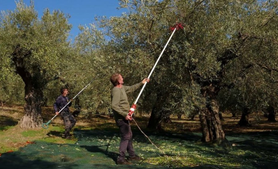 ΟΠΕΚΕΠΕ: Πληρώθηκαν 82.870 αγρότες για ενισχύσεις συνολικά 46 εκατ. ευρώ