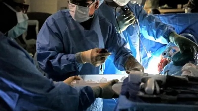 ΗΠΑ: Δεύτερη μεταμόσχευση καρδιάς χοίρου σε άνθρωπο