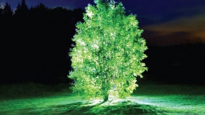 Όχι, δεν είναι σενάριο επιστημονικής φαντασίας - Ο κόσμος του Avatar γίνεται πραγματικότητα