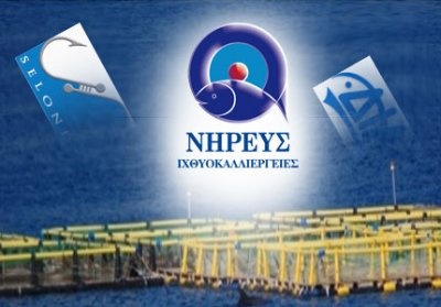 Νηρεύς: Παραιτείται από πρόεδρος και μέλος του Δ.Σ. ο Αριστείδης Μπελλές