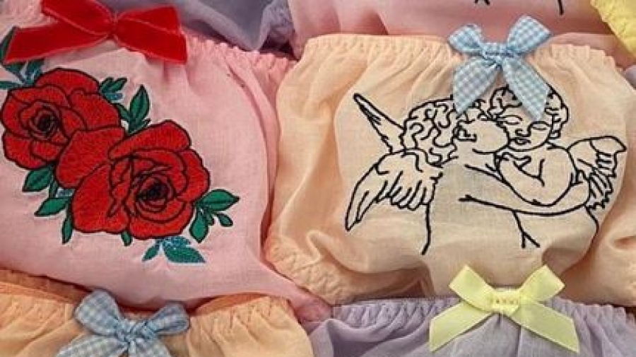 Τι κρύβει ένας μικροσκοπικός φιόγκος - Ο λόγος ύπαρξης και χρησιμότητας, όλες οι θεωρίες