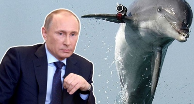 Ευκίνητα και πανέξυπνα... δελφίνια στην υπηρεσία Putin - Υπερασπίζονται τον στόλο της Μαύρης Θάλασσας