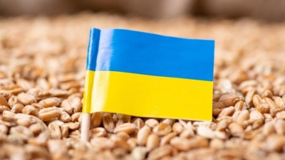 Ουκρανία: Οι ρωσικοί βομβαρδισμοί κατέστρεψαν περίπου 300.000 τόνους σιτηρά στο Mykolaiv