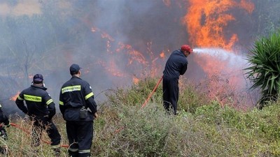 Φωτιά στην περιοχή Δίδυμα της Αργολίδας - Επιχειρούν 20 πυροσβέστες
