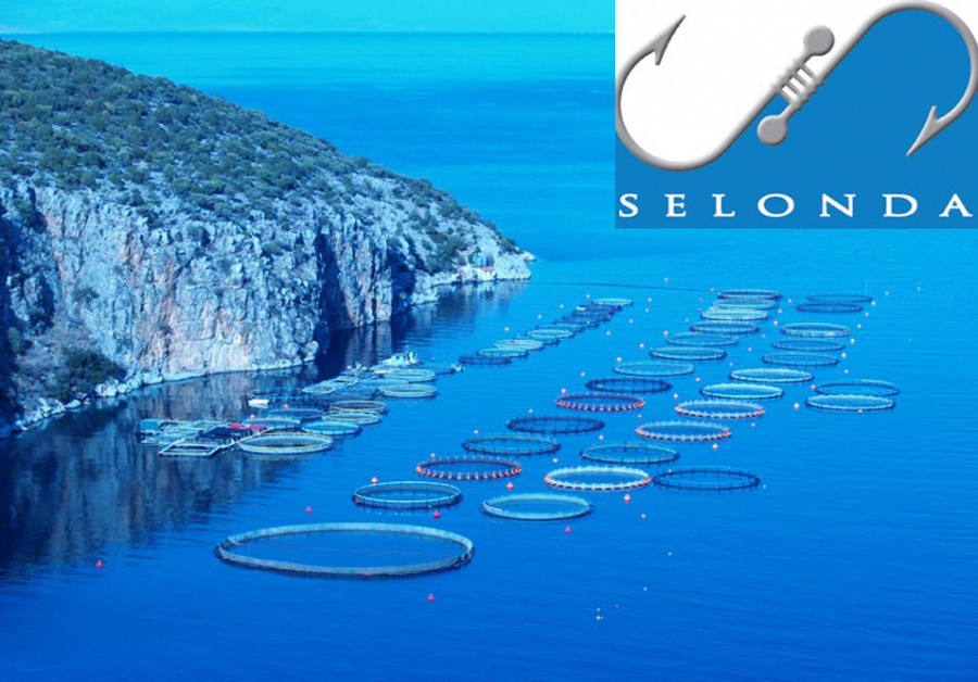 Σελόντα: Αγορές μετοχών από την Andromeda Seafood