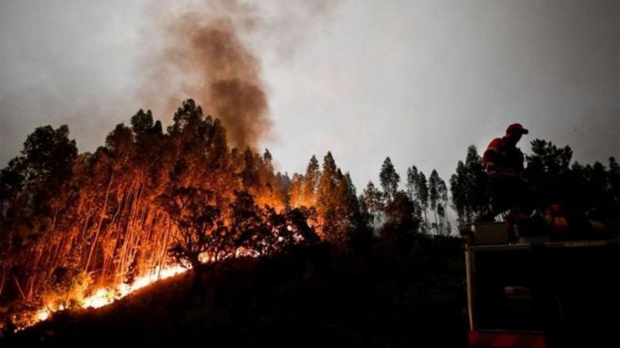 Πυρκαγιά σε αγροτοδασική έκταση, στην περιοχή Άρλας στη δυτική Αχαΐα