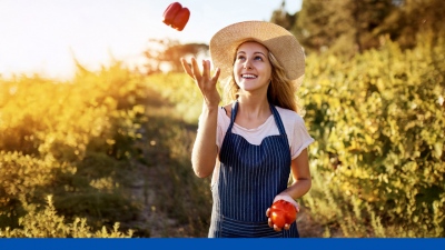 Η Lidl Ελλάς παρουσιάζει τον 5ο Απολογισμό Βιωσιμότητας για το 2024