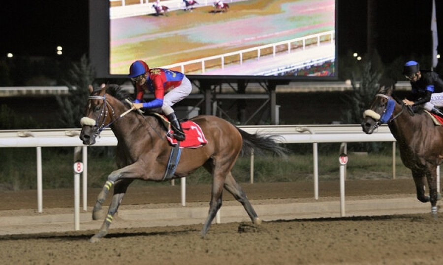 Δέκα νικητές στο ΣΚΟΡ 6 των ελληνικών ιπποδρομιών