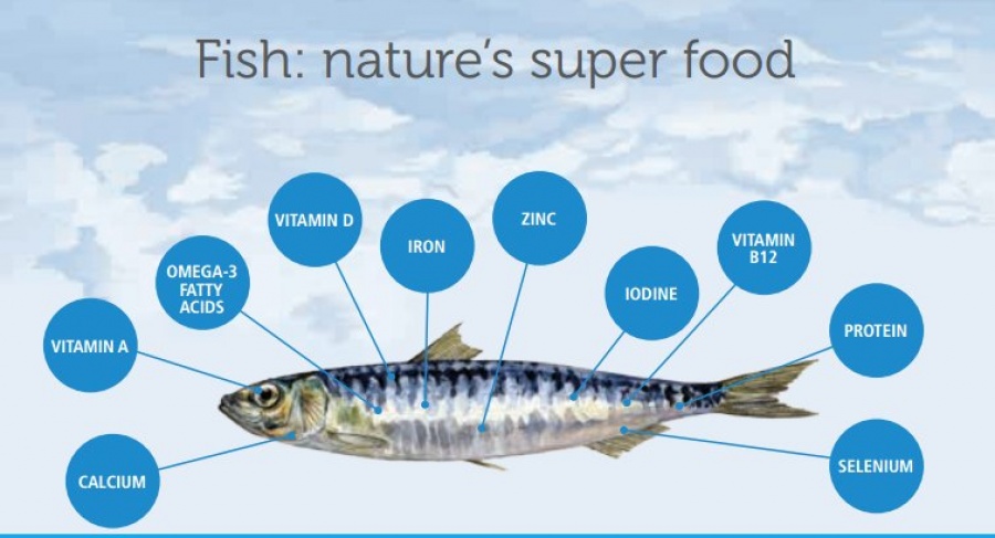 Ξεκινά στην Ελλάδα το ερευνητικό έργο «Fish_Superfoods» για την ανάπτυξη νέων υπερτροφών για τις ιχθυοκαλλιέργειες