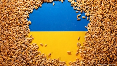 Ουκρανία: Μείωση 40% στη συγκομιδή σιτηρών το 2022, λόγω της ρωσικής εισβολής