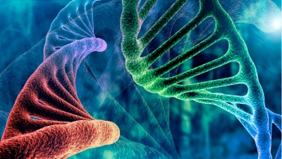 Ανοσοθεραπεία: Η μεγάλη ελπίδα για τη θεραπεία του καρκίνου