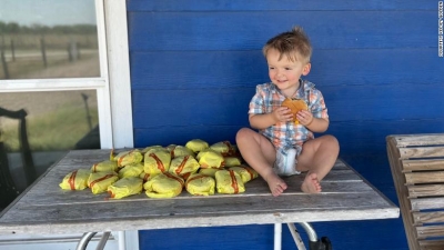 Μπόμπιρας 2 ετών βρήκε ξεκλείδωτο το κινητό της μαμάς του και παρήγγειλε... 31 hamburger