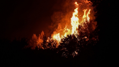 Υπό έλεγχο η πυρκαγιά που ξέσπασε στη Σιθωνία Χαλκιδικής - Σε επιφυλακή η Πυροσβεστική