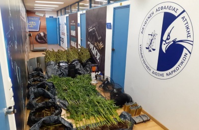 Αιγάλεω: Σε ντουλάπα υπόγειου διαμερίσματος εντοπίσθηκε πλήρως εξοπλισμένο εργαστήριο υδροπονικής  κάνναβης