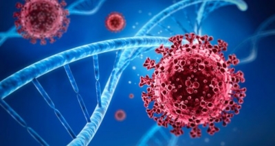 Αμερικανική μελέτη κατέγραψε πως αντιμετωπίζει η άμυνα του οργανισμού, τα κύτταρα του κορωνοϊού - Καθηγητές του ΕΚΠΑ εξηγούν