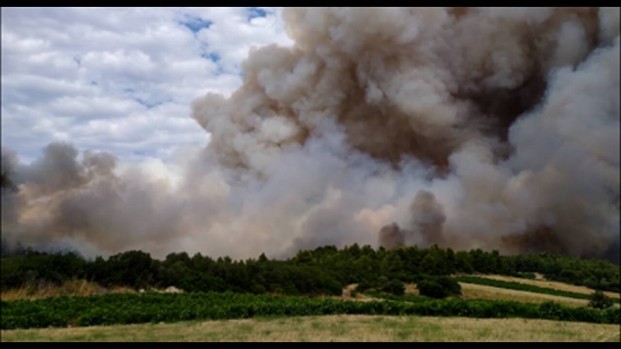 Καλύτερη εικόνα παρουσιάζει η πυρκαγιά στην Τανάγρα - Ισχυρές πυροσβεστικές δυνάμεις προσπαθούν να την θέσουν υπό έλεγχο