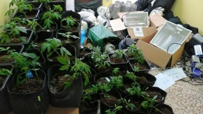 Χτύπημα της ΕΛ.ΑΣ στα κυκλώματα ναρκωτικών