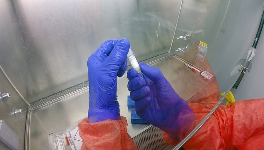 Ακόμα 2 νεκροί στη Γαλλία από τον κορωνοϊό - Στα 96 τα νέα κρούσματα