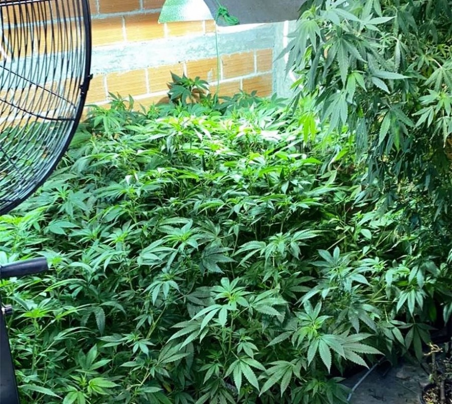 Εξαρθρώθηκε μεγάλο κύκλωμα ναρκωτικών που ετοιμαζόταν να μετακομίσει στην Μύκονο