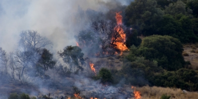 Ανεξέλεγκτη μαίνεται η πυρκαγιά στην Εύβοια – Εκκένωση οικισμού και μήνυμα του 112 στους κατοίκους