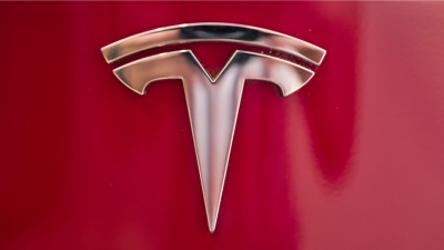 Γερμανία: H Tesla «μετακομίζει» φωλιές μυρμηγκιών και πουλιών για να χτίσει το νέο εργοστάσιο αυτοκινήτων