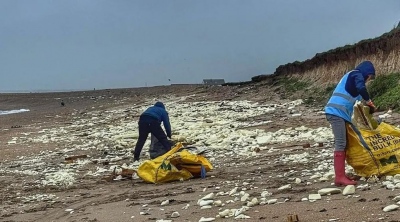 Παραλία στη Βρετανία γέμισε... με μπανάνες
