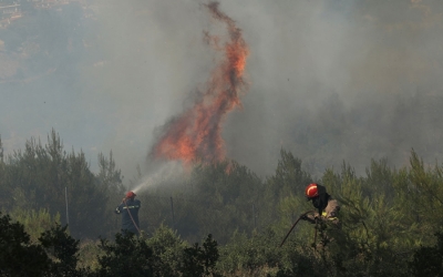 Χαλκιδική: Φωτιά σε δασική έκταση κοντά στον Στανό