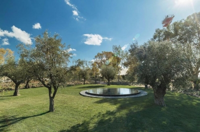 Lamda Development: Μεταφυτεύσεις δένδρων στο Ελληνικό