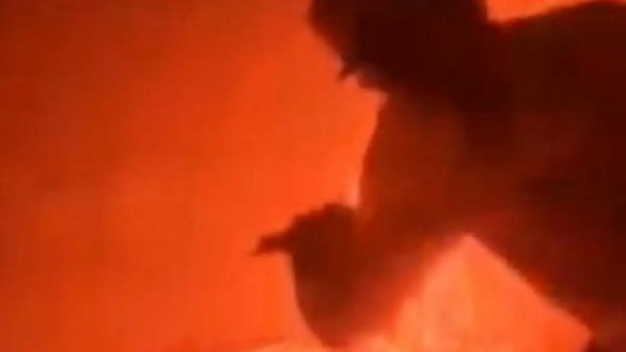 Απίστευτες εικόνες από ηφαίστειο στη Χαβάη: Νεαροί πόζαραν ανενόχλητοι δίπλα στη λάβα, μπροστά σε κάμερα επιστημόνων