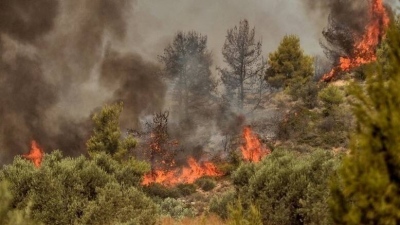 Πυροσβεστική: 44 νέες δασικές πυρκαγιές εκδηλώθηκαν σήμερα (29/8)