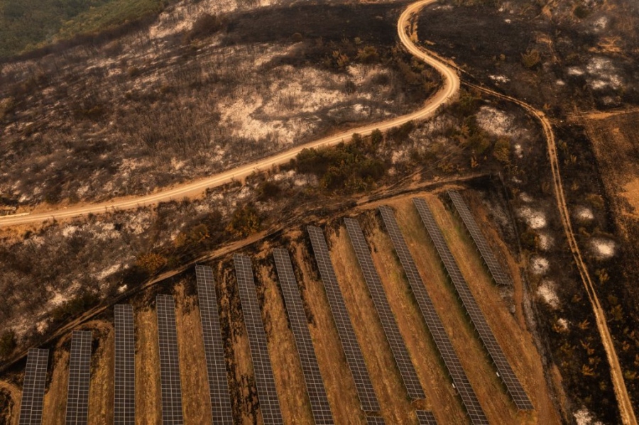 Φωτιά στον Έβρο - Μάκης Βορίδης: Άμεση η ενεργοποίηση της διαδικασίας των αποζημιώσεων για τους πυροπαθείς
