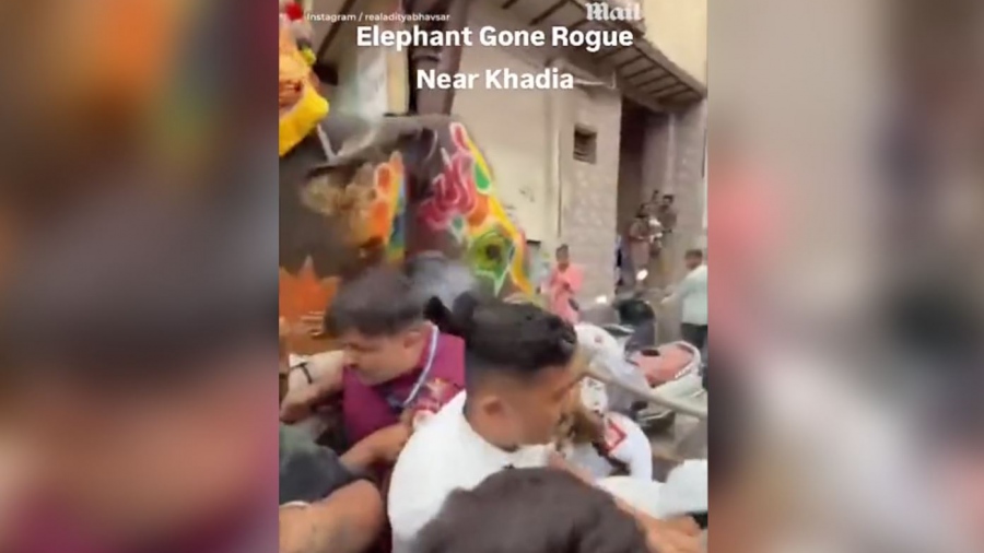 Σκηνές χάους στην Ινδία - Ελέφαντας έπαθε αμόκ και επιτέθηκε σε πλήθος (vid)