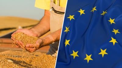 Γαλλικά συνδικάτα: Καταστροφή η ένταξη της Ουκρανίας στην ΕΕ για τον αγροτικό τομέα της Ευρώπης