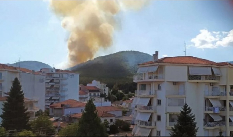 Τρίπολη: Φωτιά σε δάσος στον Άγιο Λουκά - Συναγερμός στην Πυροσβεστική