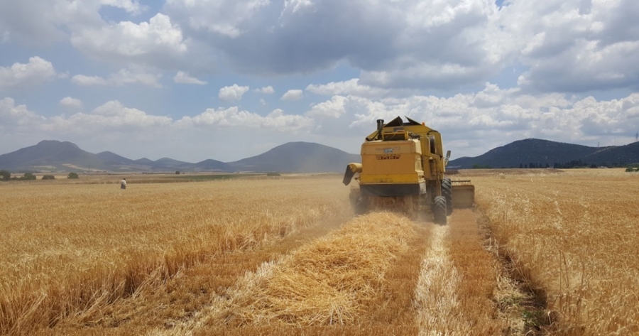 Αθηναϊκή Ζυθοποιία: Πολλαπλασιαστικά τα οφέλη του προγράμματος συμβολαιακής καλλιέργειας