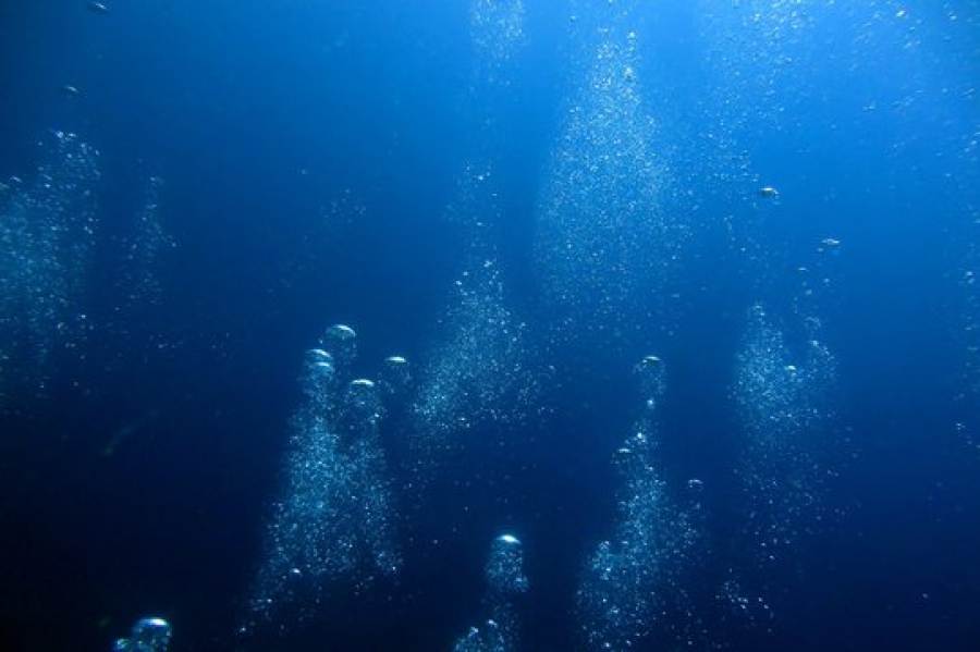 Συγκλονιστικό πείραμα αποκαλύπτει: Οι φάλαινες επικοινωνούν σε δύο... γλώσσες