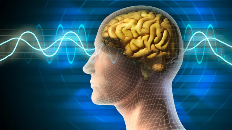 Ο λαβύρινθος της συνείδησης: Εντυπωσιακές, εξωσωματικές εμπειρίες ανθρώπων λίγο πριν πεθάνουν - Έτσι μοιάζει το τέλος μας