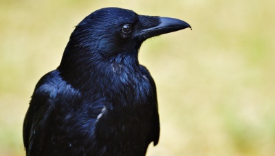 Sell off σε τράπεζες -10% και ΧΑ -5,24% στις 768 μον. λόγω αύξησης κρουσμάτων Covid 19 στην Ελλάδα - Βασικό σενάριο προσεχώς 720-700 μον.